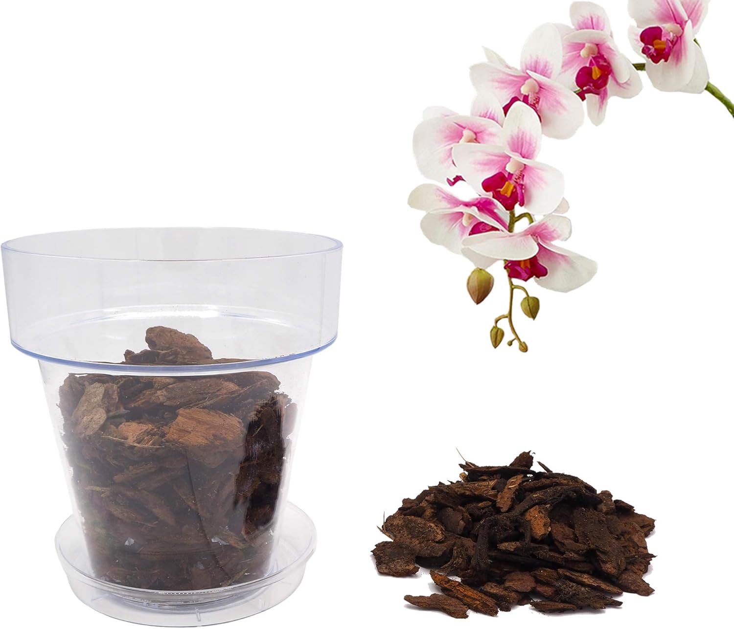 bloome Kit de rempotage d'orchidées Pot Transparent avec Trous de