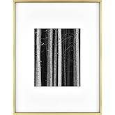 MCS Master & Co. Foundry Metal 14x18 Matted Picture Frame with 8x10 Photo Display, Brass Vertical & Horizontal Wall Hanging Frame for Photos & Artwork (1-Pack)