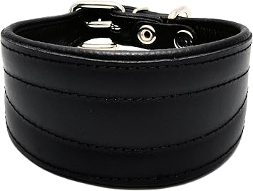 lurcher collars amazon