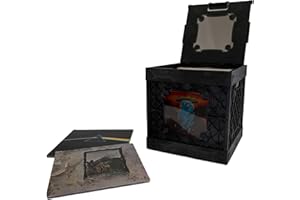 UbeCube CrateVinyl - Vinyl Record Storage Crate Modular Storage Cube for LP Albums with Divider and 2 Clear Panels (Black crate - Smoke panels)