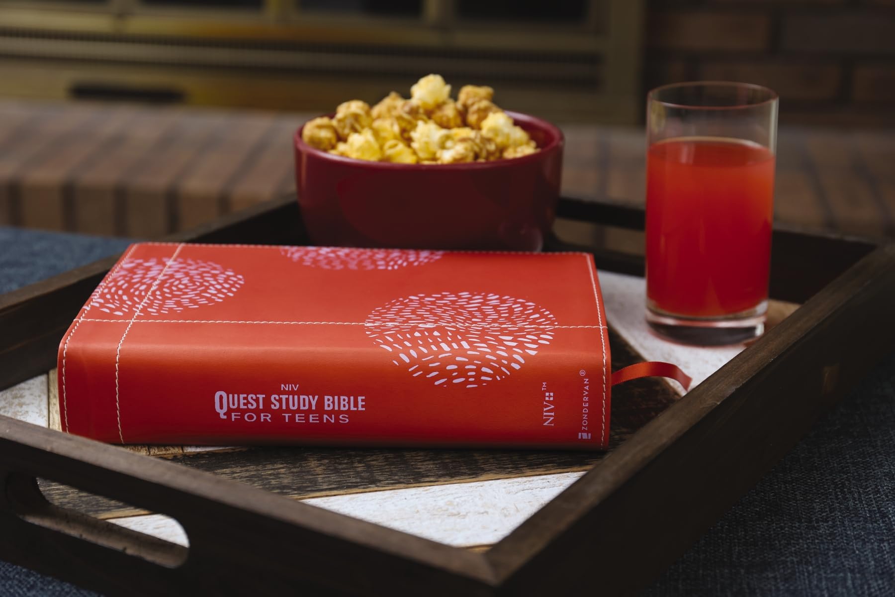 NIV, Quest Study Bible for Teens, Leathersoft, Coral, Comfort Print: The Question and Answer Bible