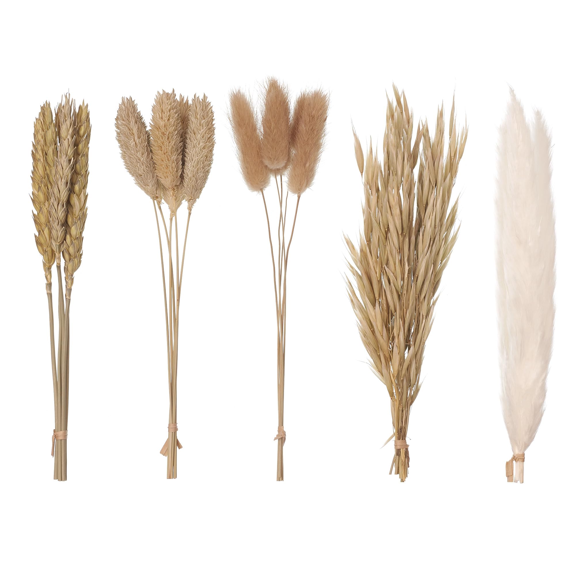 The Baked Studio – Original Dried Mixed Flower Cake Decoration Set | Pampas, Oats, Wheat, Lagurus Bunny Tails & Phalaris | Floral Cake Topper Arrangement for Cakes, Cupcakes & Craft Projects(Natural)