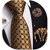 Dubulle Mens Tie and Lapel Pin Paisley Striped Floral Necktie for Men Pocket Square Cufflinks Wedding Party