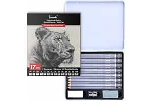 Brusarth Professional Sketch Pencils for Drawing Set - Graphite Pencils (4H-10B), Graphite Sticks, Erasers and Sharpener, Art Pencils for Sketching- Ideal for Artists and Beginners,17Pcs