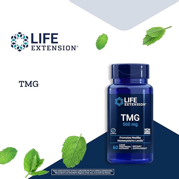 LIFE EXTENSION TMG 500 MG – TRIMETHYLGLYCINE SUPPLEMENT – ENCOURAGES HEALTHY HOMOCYSTEINE LEVELS – GLUTEN-FREE – NON-GMO – VEGETARIAN – 60 LIQUID VEGETARIAN CAPSULES