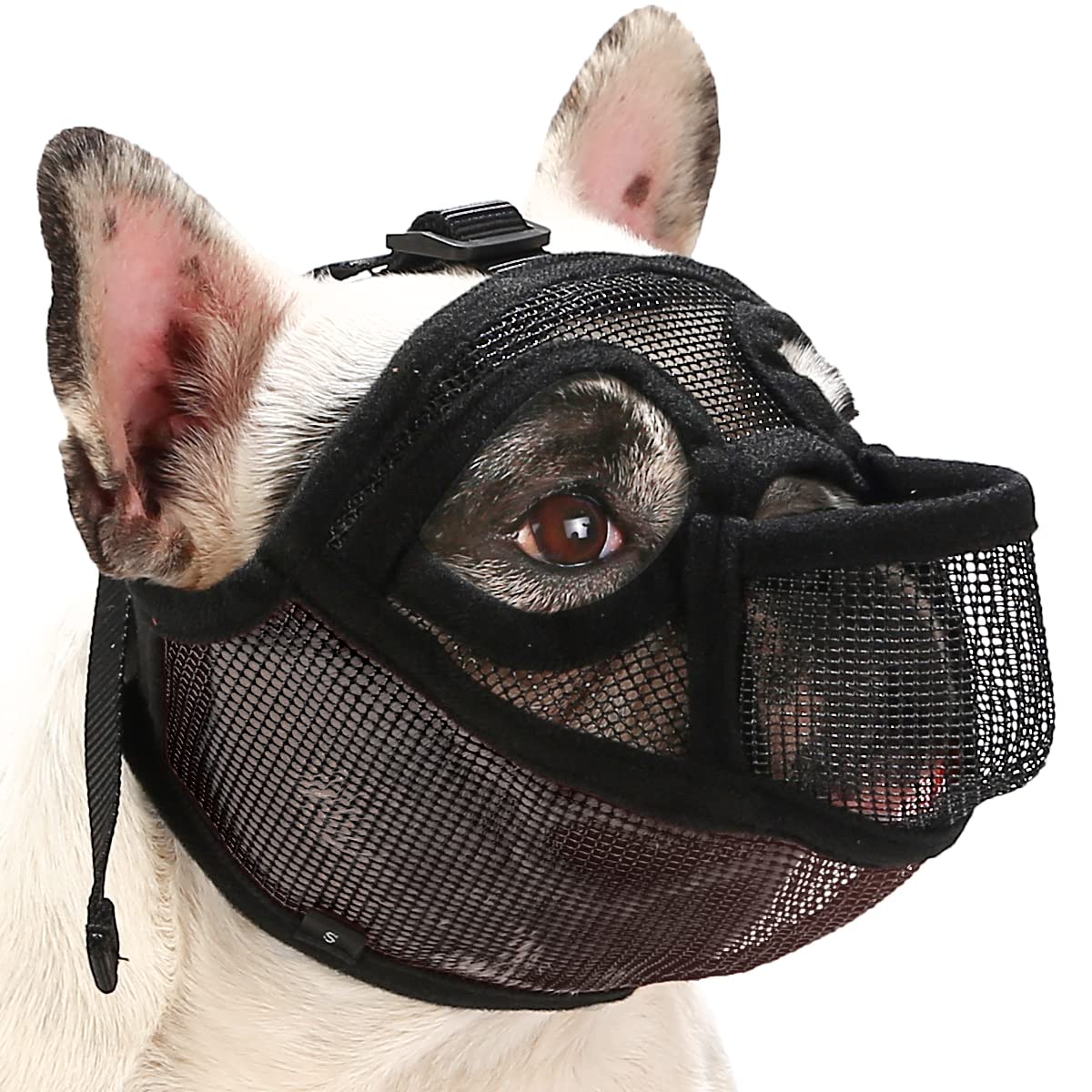 Photo 1 of BARKLESS French Bulldog Muzzle, Short Snout Mesh Dog Muzzle with Tongue Out Design for Flat Face (Brachycephalic) Dog Pug Shih Tzu English Bulldog Prevent Biting Chewing Allows Grooming (Black, XXS)