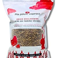 Ma Poule Express Dried Mealworms for Wild Birds, Chickens, Reptiles – 5 lbs (2.26 kg) | Natural Protein Treat | Approx. 80,00