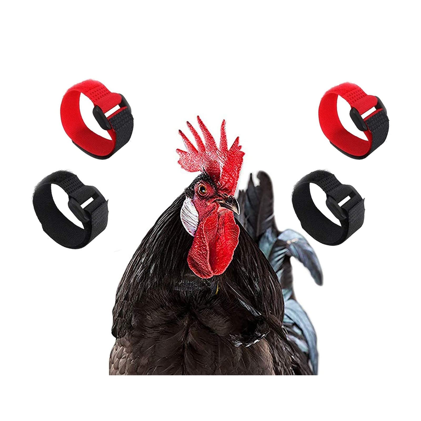 Chicken Collar Anti hook Rooster Collar Chickens Collar adjustable Prevent Chickens from Screaming disturbing Neighbors 4 pcs Cockerel collars