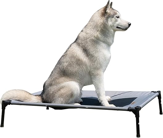 b and m dog lounger