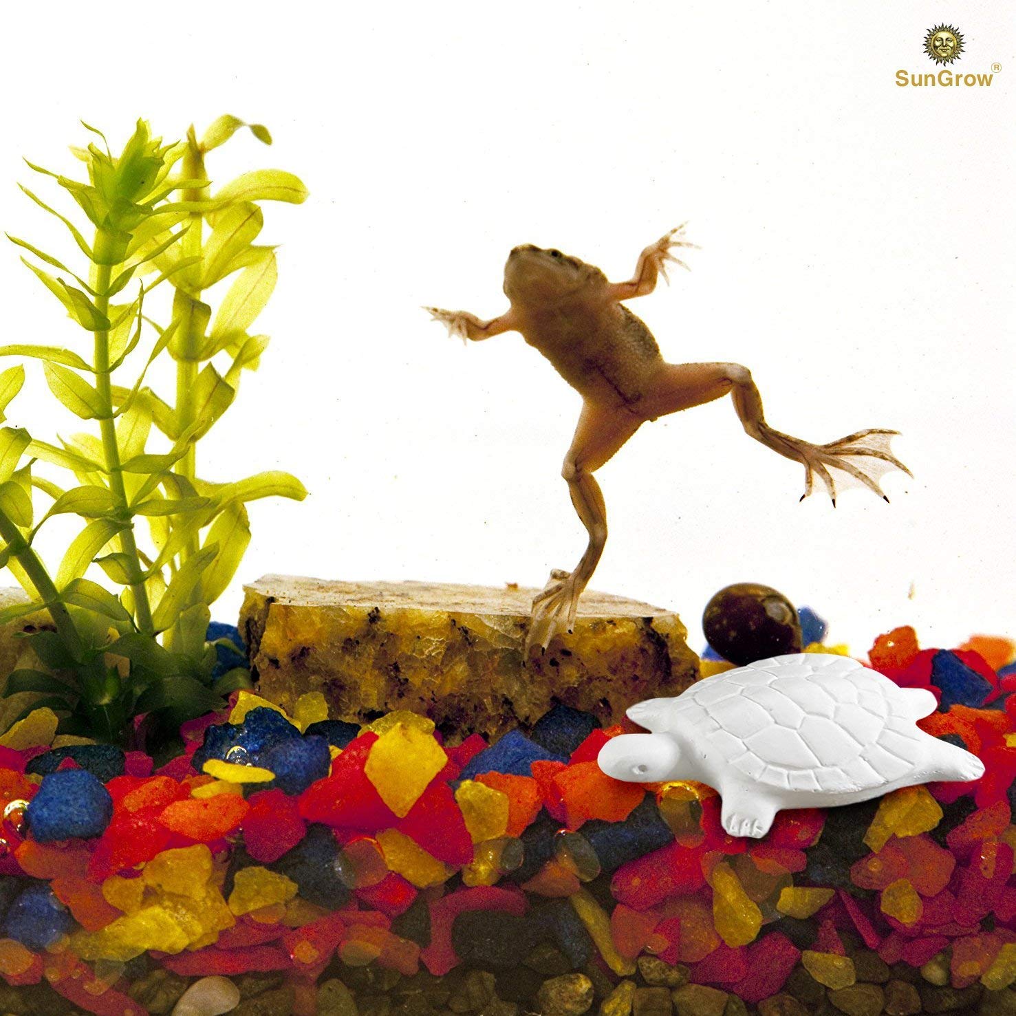 Turtle Water Conditioner by SunGrow – Protects Turtles, Amphibians & Reptile Pets from Salmonella - Contains Calcium for turtle Shell Development - One Block Sufficient for 60 Days