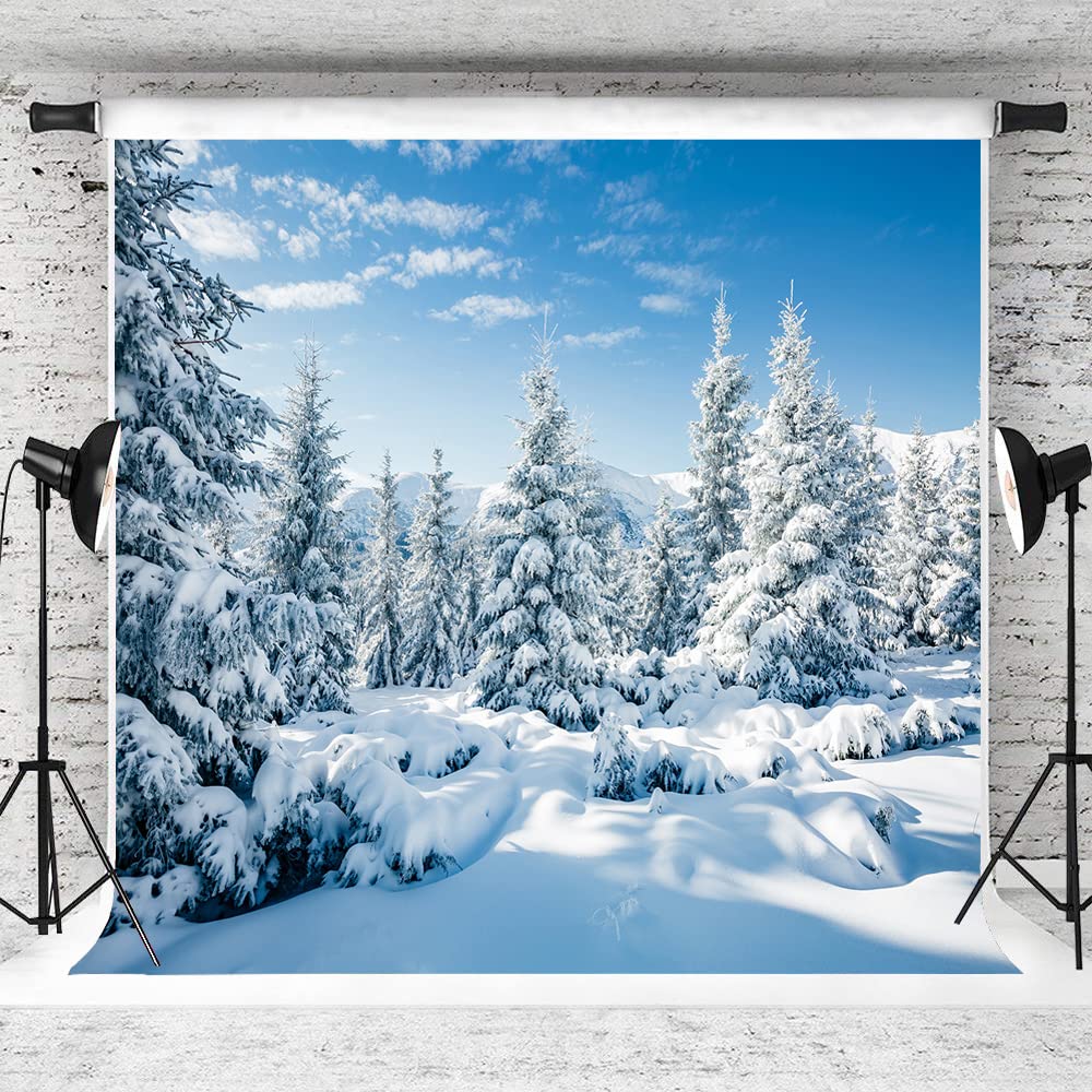 AIIKES 10X10FT Snowy Scenery Backdrop Winter Forest Snow Tree Photography Backdrop Outdoor Sky Winter Snowfield Landscape Snow Covered Pine Trees Photo Studio Props 12-346