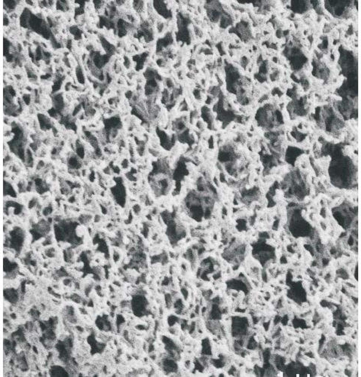 GVS Life Sciences 1213778 Nylon Membrane Filters Disks, 0.45 Micron Pore Size, 90mm Diameter (Pack of 25)