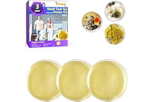 JXGKL Mold Test for Home Kit,Home Mold Test,DIY Detector at Furniture,Wall Facing,Indoor Air Quality Testing Kits,Simple Detection Tests,air Tester,Black26 Mold Testing,Home Mold Testing,Include Guide