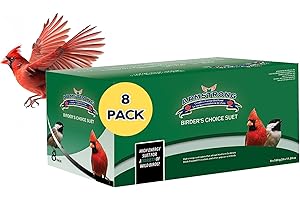 Armstrong Royal Jubilee Birder's Choice 8 Pack Suet Cakes 2.56kg, One Size 1 Case