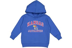 College Kids Wake Forest Demon Deacons Toddler Pullover Fleece Hoodie