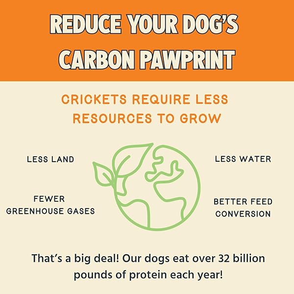 JIMINY’S CHEWY CRICKET TRAINING TREATS FOR DOGS, LOW CALORIE, HYPOALLERGENIC, MADE IN USA, 6OZ, PUMPKIN & CARROT (PACK OF 1)