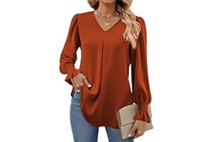 Funlingo Women's 2025 Long Sleeve Tops Dressy Casual V Neck Tunic Shirts Loose Chiffon Work Blouse