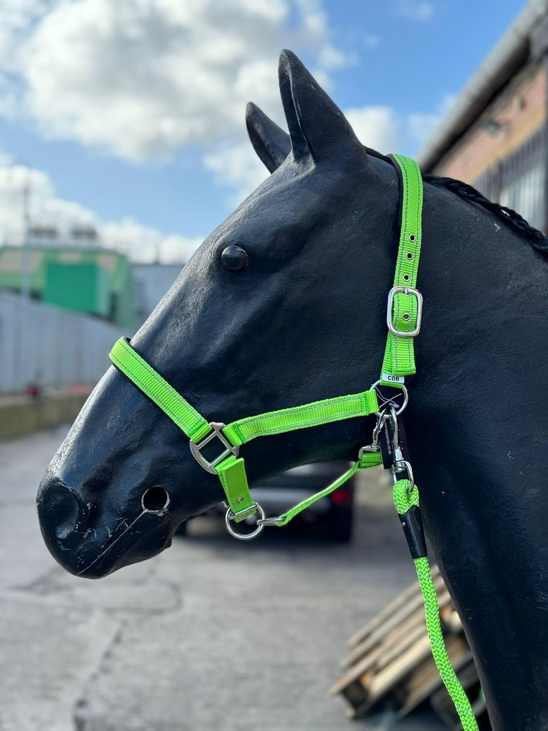Equipride Reflective Headcollar and Lead Rope Set Neoprene Padded Full-Shetland Neon Green (Shetland)