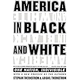 America in Black and White: One Nation, Indivisible