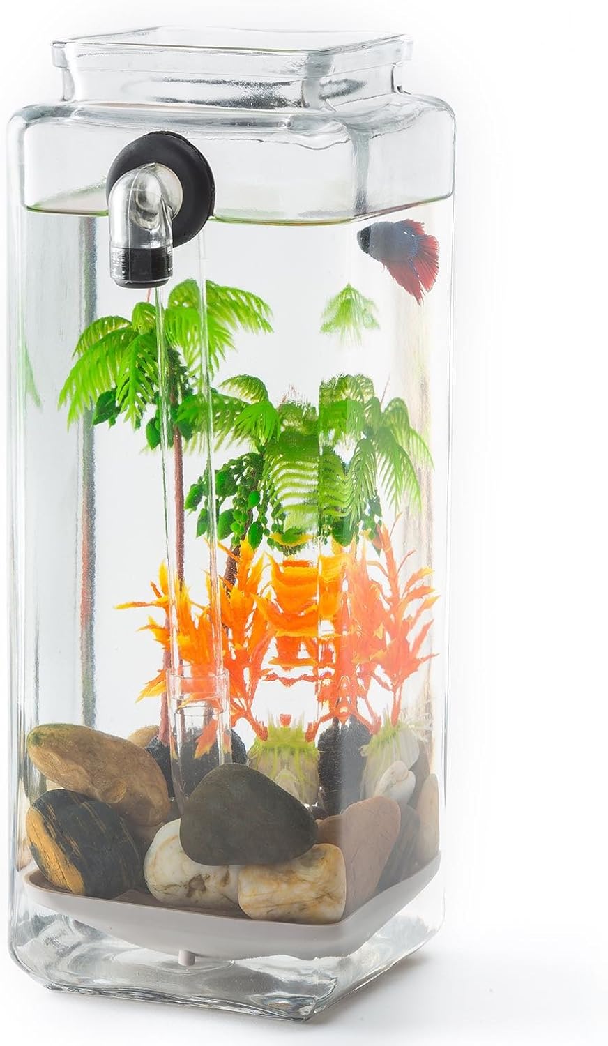 self cleaning betta tank