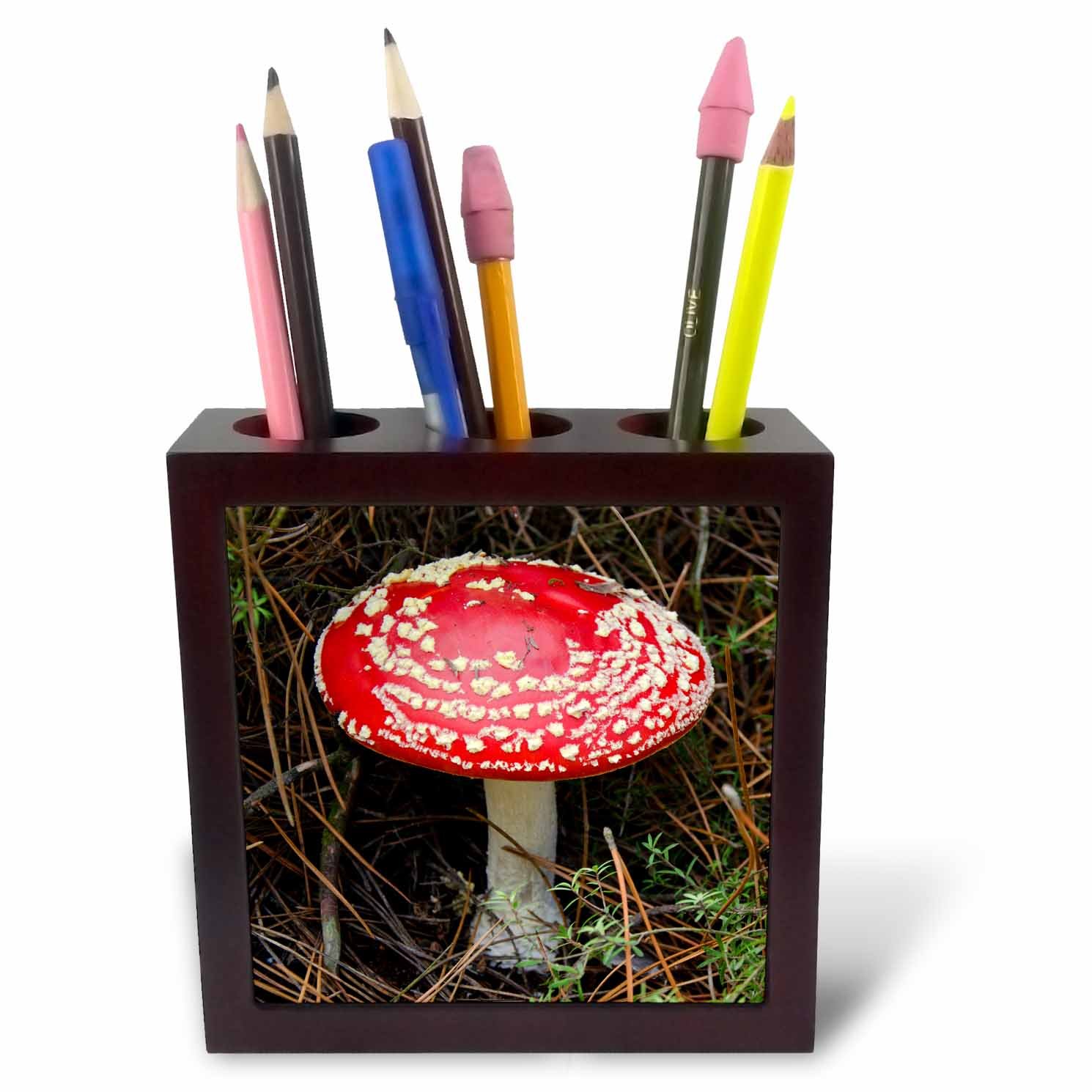 3dRose ph_226433_1 5-Inch "New Zealand/Rotorua Geothermal Park Spotted Forest Mushroom" Tile Pen Holder - Red
