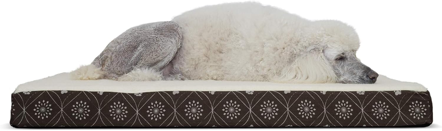 Which Is The Best All For Paws Cooling Mat