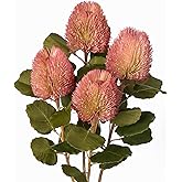 GnFlus 4Pcs Artificial Flowers Bouquets 23 Inch Fake Fall Flower Pink Long Stem Autumn Faux Banksia Flowers Floral Arrangements for Home Bedroom Table Wedding Party Boho Decor