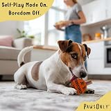 PawsOnly Interactive Treat Dispenser Ball Small Orange Dog Toy view 3