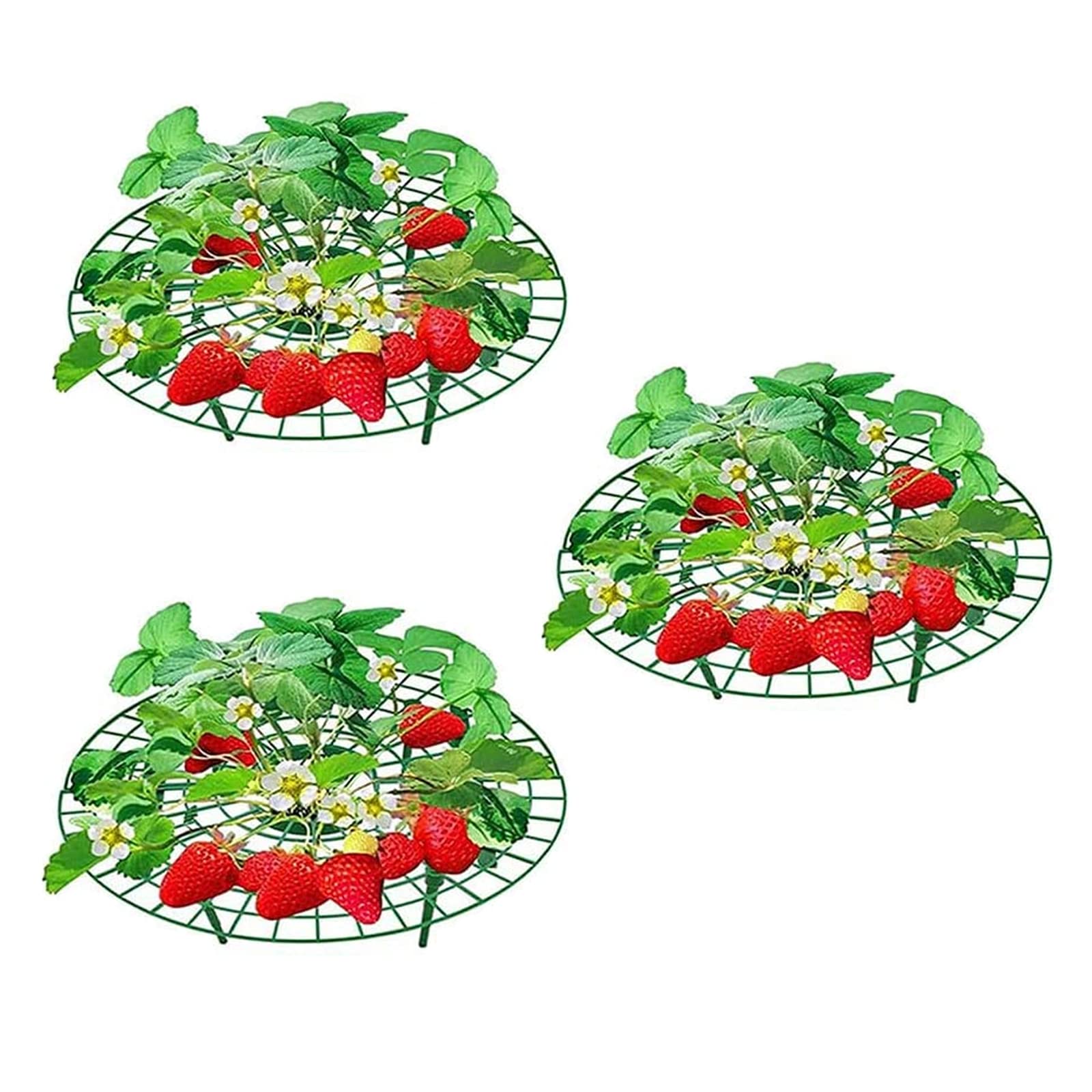 3PCS Strawberry Plant Support Holder Fruit Growing Frame Strawberry Support Planting Rack Removable Lightweight Plant Growing Frame for Climbing Plant Growing Tool Keeping Fruit Avoid Ground Rot Green