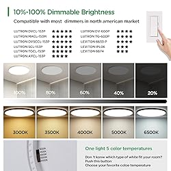 TALOYA 18 Inch Flush Mount Led Ceiling Light