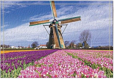 Amazon Hiyash フィンランド風車チューリップ風呂敷滑り止め床玄関屋外屋内玄関マット 60x40cmバスマット浴室敷物 Hiyash ホーム キッチン 通販