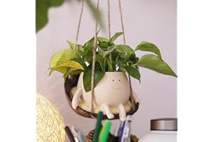 NINIPAPA Hanging Swing Chair Planter Pot Smile Face Plant Pot for Indoor Outdoor Plants Cute Head Flower Pots for Succulent String of Pearls Unique Gift on Mother's Day, Birthday, Christmas