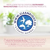 Fabulosa 4 in 1 Antibacterial Cleaner Winter Angel 220ml Pack of 12 view 7