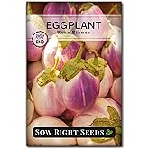 Sow Right Seeds - Rosa Bianca Eggplant Seed for Planting Outdoors Garden | Plant non-GMO heirloom egg plants for Italian and Asian dishes. Grow pink and white variety for home vegetable gardening.