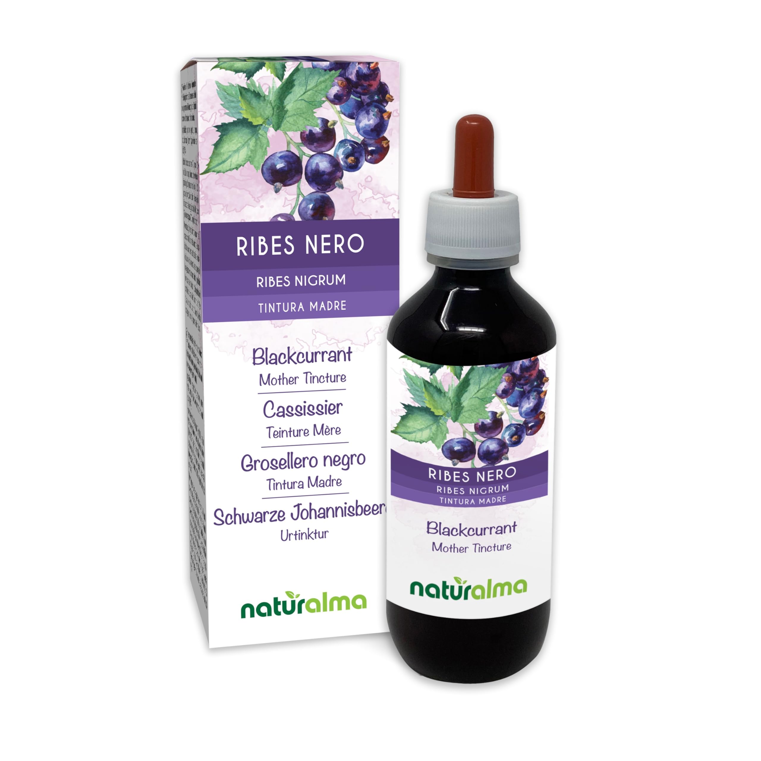 Blackcurrant (Ribes nigrum) Leaves and Fruits Alcohol-Free Mother Tincture Naturalma - Liquid Extract Drops 200 ml - Food Supplement - Vegan
