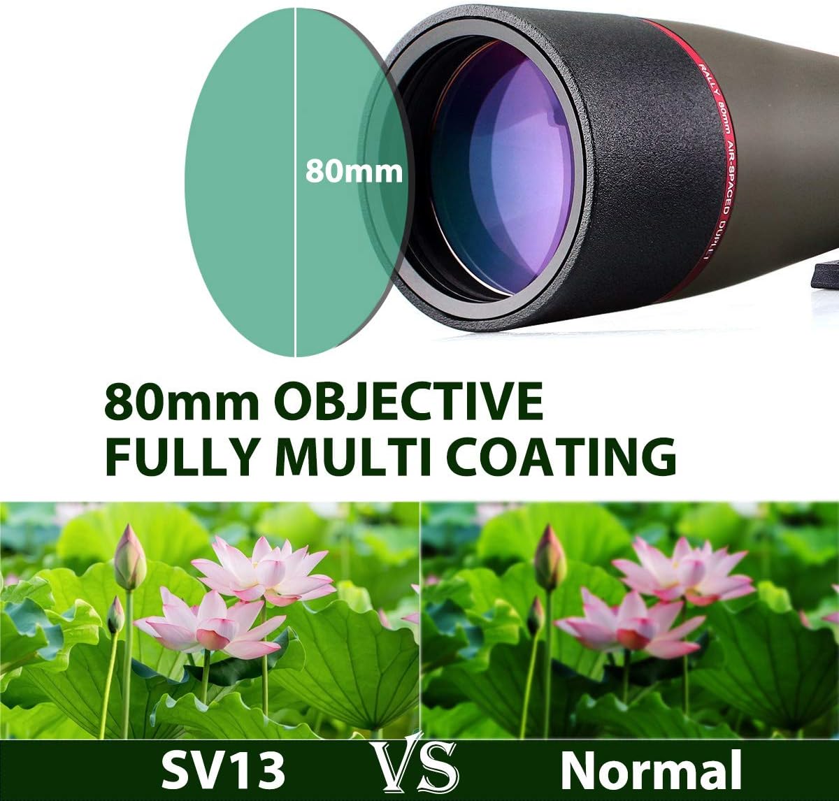 Svbony SV13 20-60x80 Spotting Scope with Smartphone Adapter - Image 3