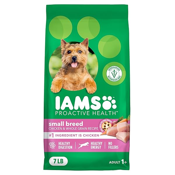 IAMS PROACTIVE HEALTH SMALL BREED ADULT DRY DOG FOOD CHICKEN & WHOLE GRAIN RECIPE, 7 LB. BAG