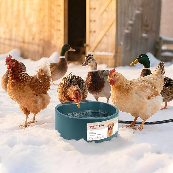 NAMSAN HEATED WATER BOWL FOR OUTDOOR CATS, 2.2L HEATED DOG BOWL, PROVIDES DRINKABLE WATER IN WINTER, HEATED PET DRINKER FOR CHICKENS RABBITS BIRDS BATH, LIVESTOCK THERMAL WATERING TROUGH