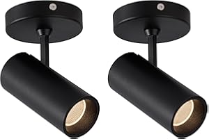 Aisilan 2 Pack LED Black Modern Directional Dimmable Spotlight Adjustable 90° Anti Glare Ceiling Spot Light for Indoor Foyer 