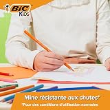 BIC Kids Evolution ECOlutions Colouring Pencils 24 Pack Multi Vibrant Art view 6