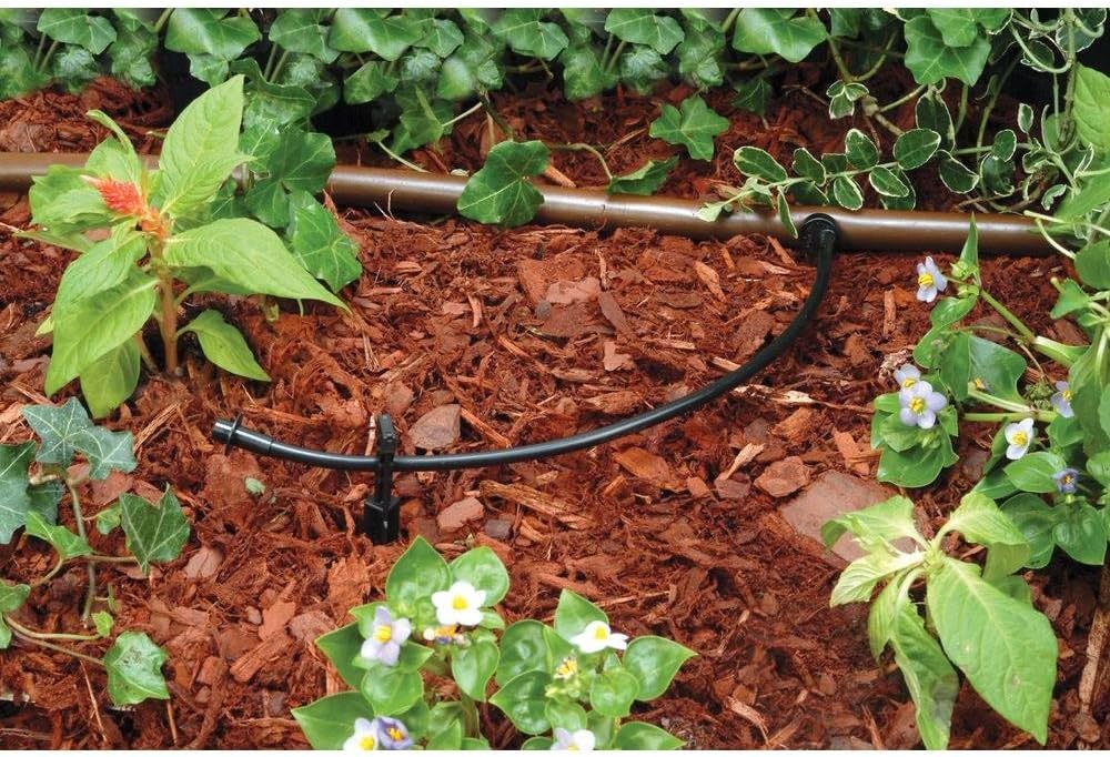 Rain Bird T22-250S Drip Irrigation 1/4" Blank Distribution Tubing, 250'Roll, Black : Pond Filtration Tubing : Industrial & Scientific