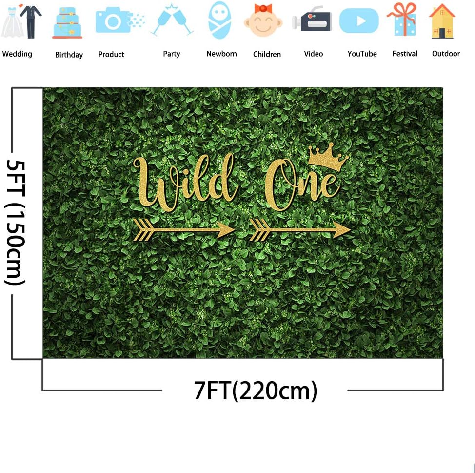 Avezano 7x5ft Wild One Backdrop Jungle Green Leaf Wall Background for Boy or Girl 1st Birthday Party Banner Decoration Photo Booth Dessert Table Photoshoot Kids Photo Studio Props - Image 3