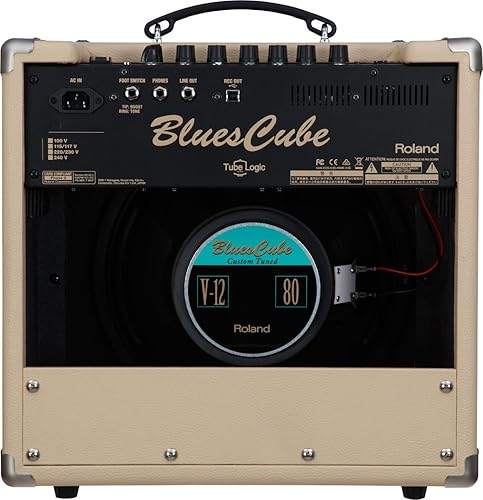 Roland Blues Cube Stage