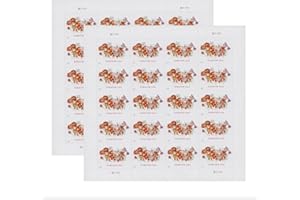 GENERIC 40 Post Stamps Tulip Flowers Designs*** (2 Sheets of 20) Mailing Forever Postage (Tulips (Style 2))