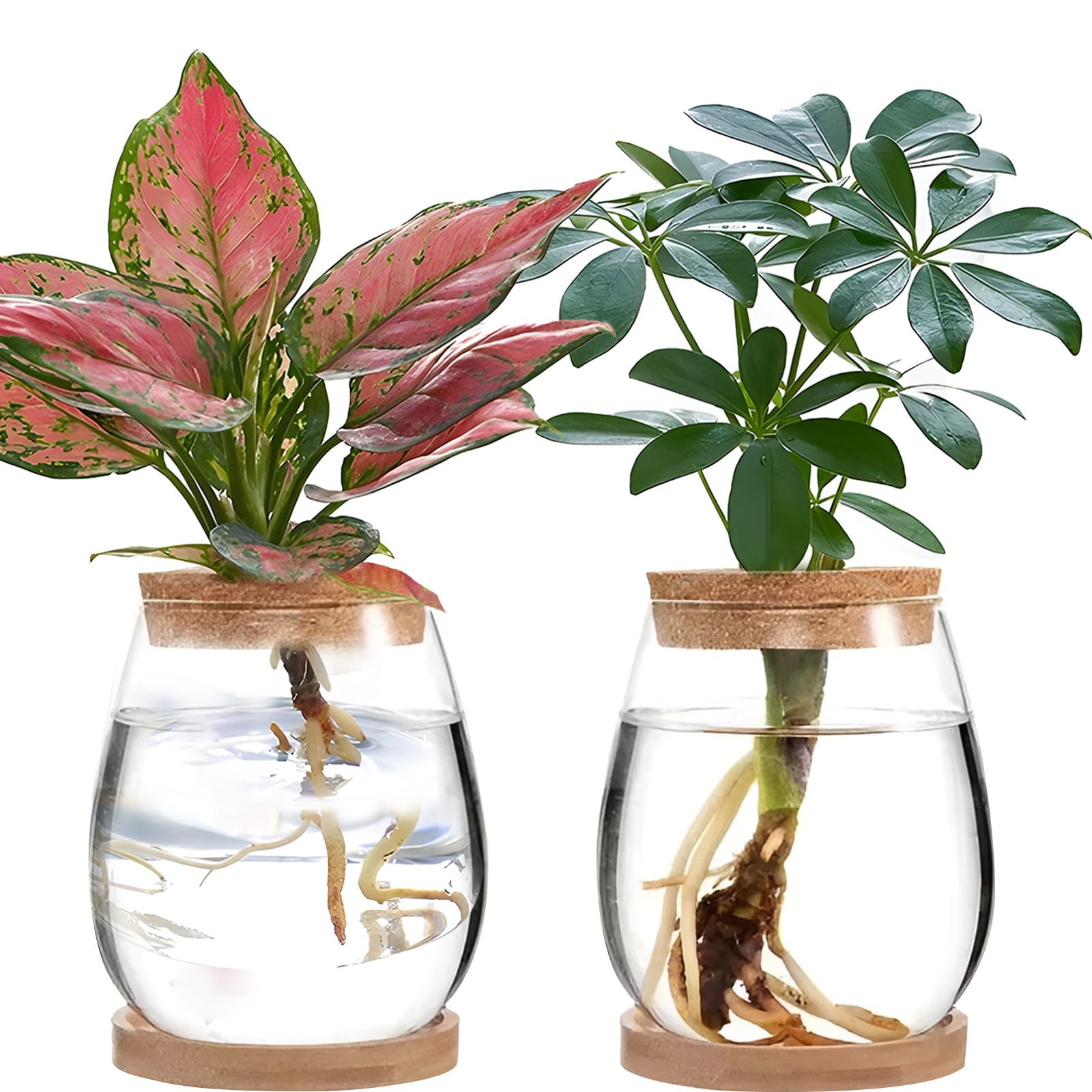 2Pcs Plant Propagation Terrarium, Glass Plant Propagation Station Plant Cuttings Holder Desktop Plant Glass Vase Pot Flower Vase Jar for Growing Hydroponic Plants (C)