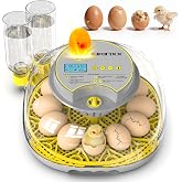 Incubator for Hatching Eggs - 12 Egg Capacity, 360&deg; Viewing for Chicken | Automatic Temp &amp; Humidity Control, Auto Egg Turning &amp; Built-in Egg Candler for Chicken, Duck, Goose &amp; Quail (Grey)