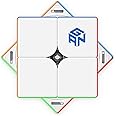 CuberShop GAN 251 M Leap, 2021 New 2x2 Magnetic Speed Cube for Professional Cubers, Best Gans 2x2x2 Stickerless Magnetic Speed Cube Standard Version with 63 Magnets(251M Frosted Surface)
