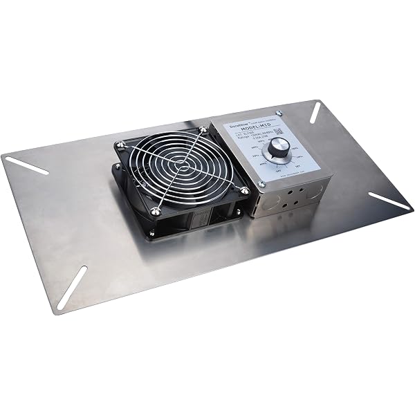 Amazon.com: Lomanco 9800530 PCV1 Powered Crawl Space Fan : Automotive