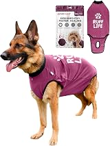 BellyGuard Dog Recovery Suit after Surgery - Cozy Bodysuit for Female and Male