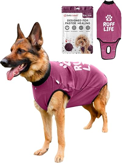 BellyGuard Dog Recovery Suit after Surgery - Cozy Bodysuit for Female and Male